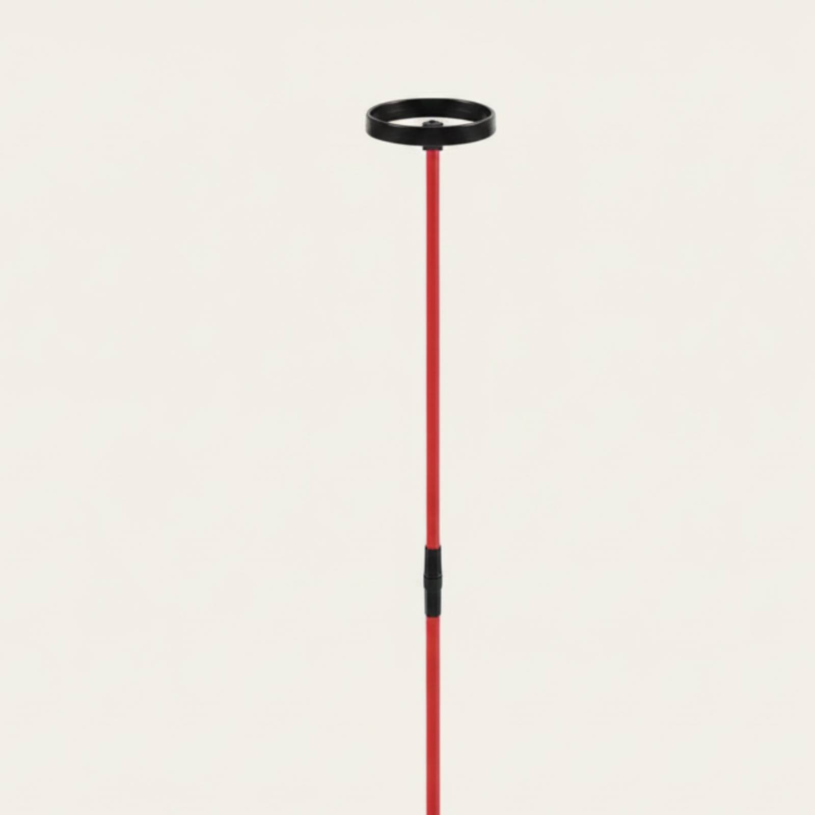 Golftrainingshulpmiddel met ho - Training Aid Swing recensie en prijs